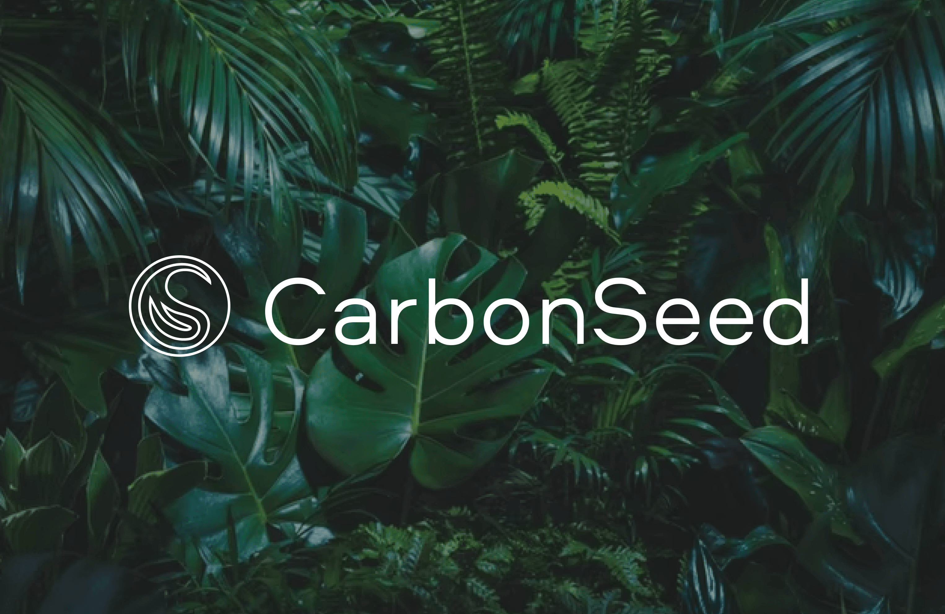 Carbon Seed